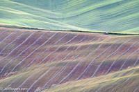 Tuscany--5
