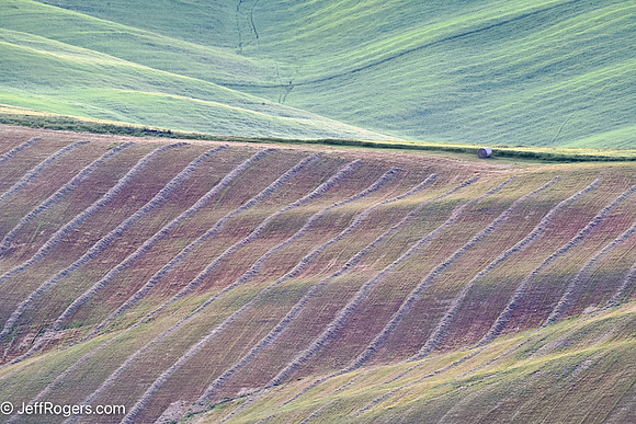 Tuscany--5