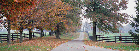 Cover_AutumnBluegrass