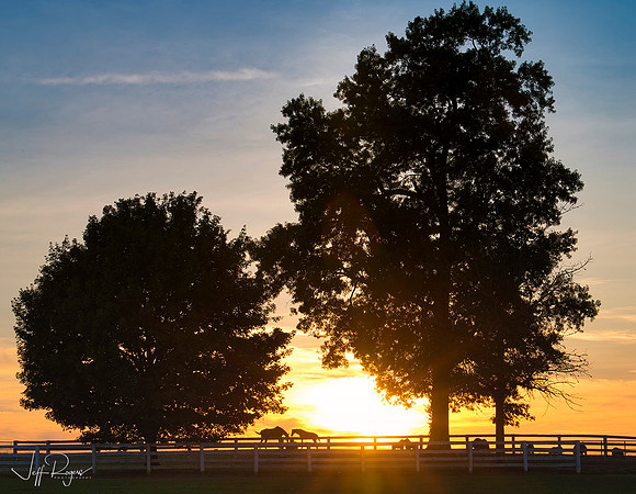 Horses_sunset2747w