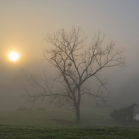 Sunrise_Estill-8146sq