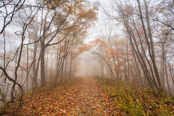 Fall_E_KY-2554