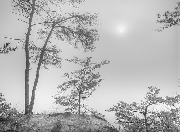 B1221340bw14