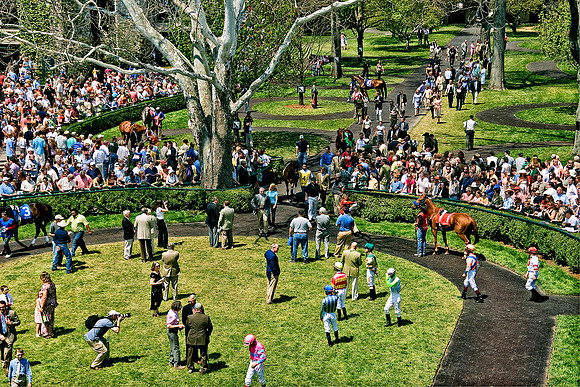 Keeneland_Paddock0198w