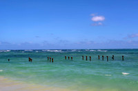 Hawaii-5991_Radiant