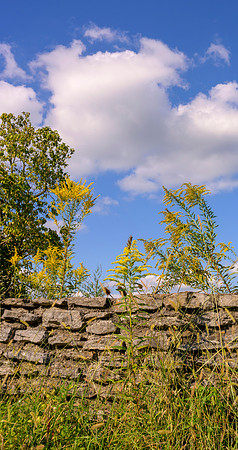 Rock_wall-0305_crop