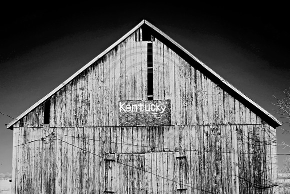 _JRP1696_Radiant