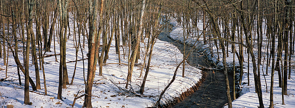 CrookedCreekSnow