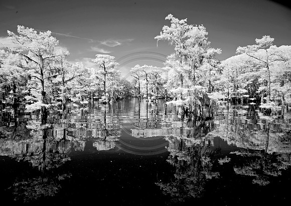 _JRP9181_Radiant