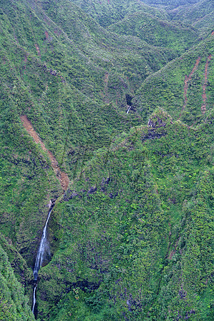Hawaii-5656_Radiant