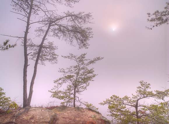 B1221340_1_2_3_4_5_tonemapped