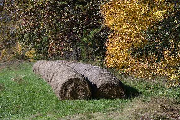 _JRP7356