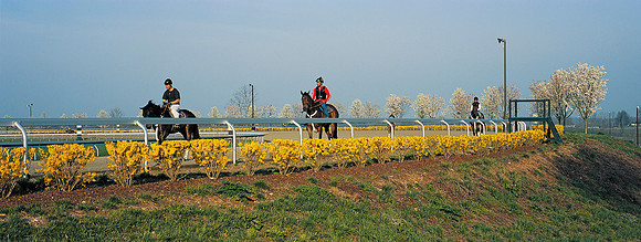 KeenelandMorningWorkout