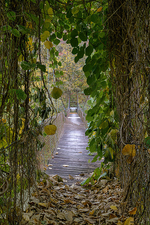 Fall_E_KY-2421