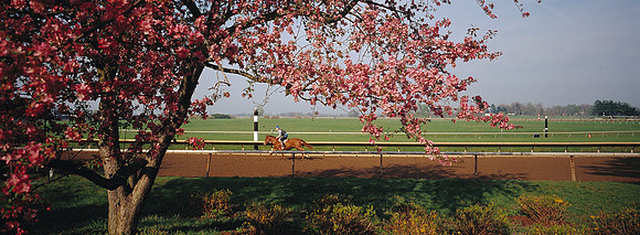 Keeneland_workout
