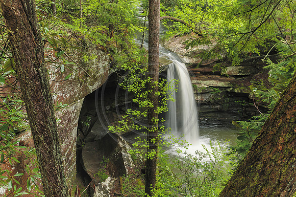 Flat_Lick_Falls3908