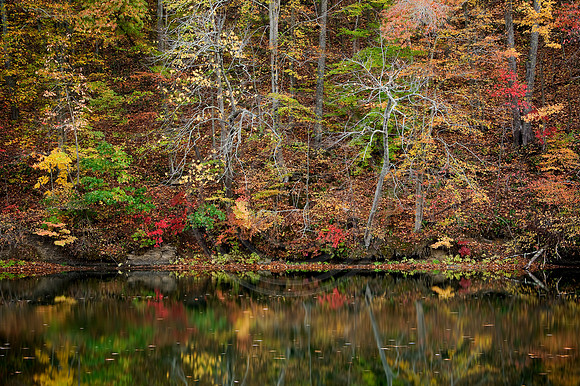 Greenbo_Lake9384