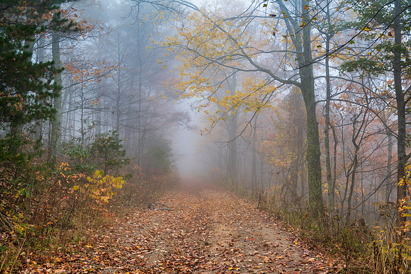 Fall_E_KY-2505