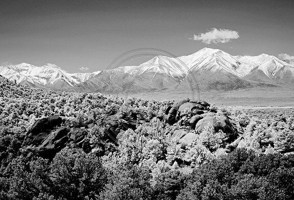 _JRP8549_Radiant