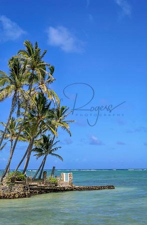 Hawaii-5967_Radiant