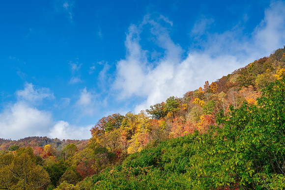 Fall_E_KY-2762