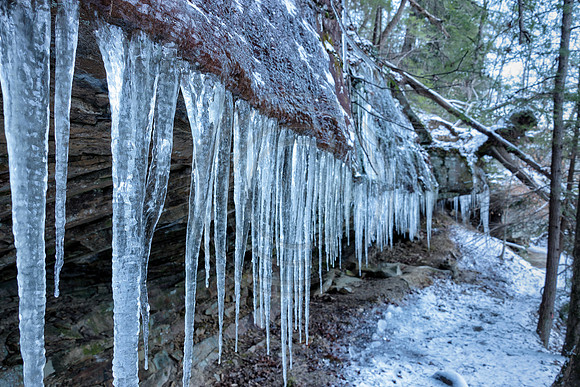 Winter6298
