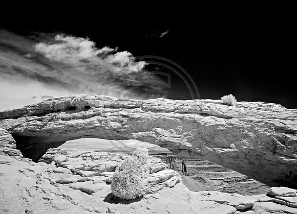 _JRP8729_Radiant
