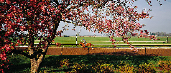Keeneland_workout_w