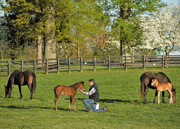 HorseHunterton0059