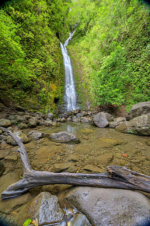 Hawaii-6041_Radiant