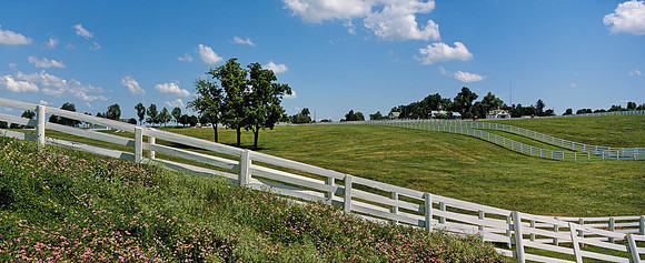 CalumetFarm