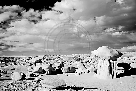 _JRP9050_Radiant