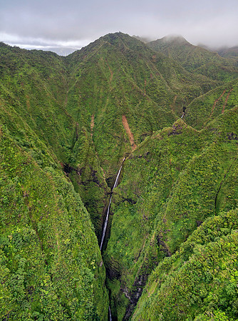 Hawaii-5669_Radiant