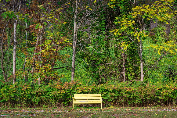 Fall_E_KY-2911_30