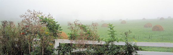 RiceRd_fog