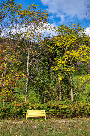 Fall_E_KY-2909_30
