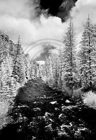 _JRP8603_Radiant