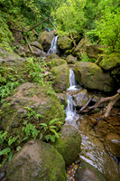 Hawaii-6063_Radiant