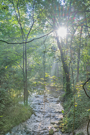 Lex_McConnell_Springs-3494