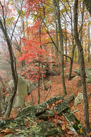Fall_E_KY-2390