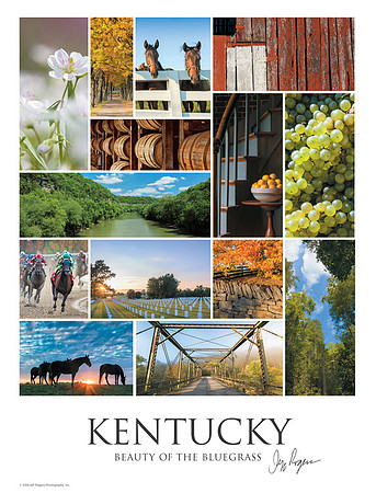 Ky_Beauty_18x24