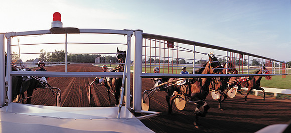RedMile-pace