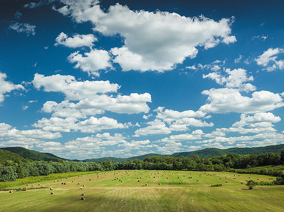 KY-HayField_Madison1009831c