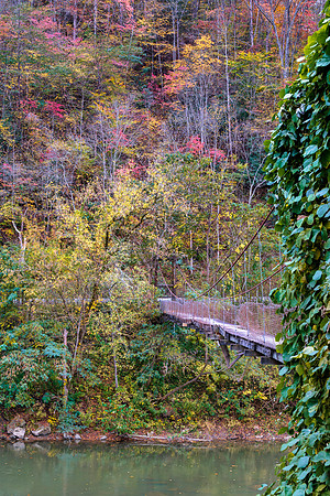 Fall_E_KY-2460_30