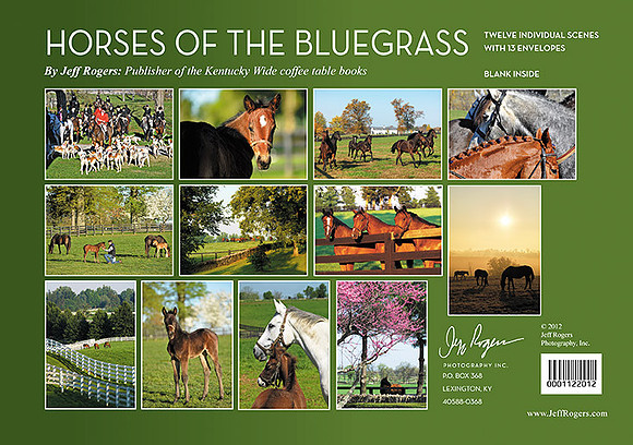 Horses_Index_web