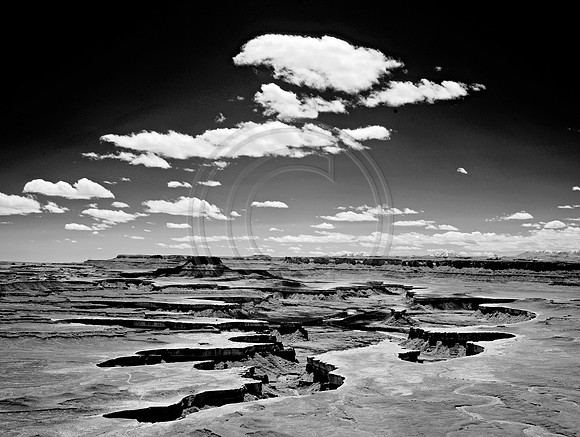 _JRP8768_Radiant