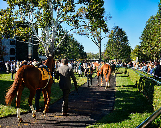 Keeneland_Paddock3657w