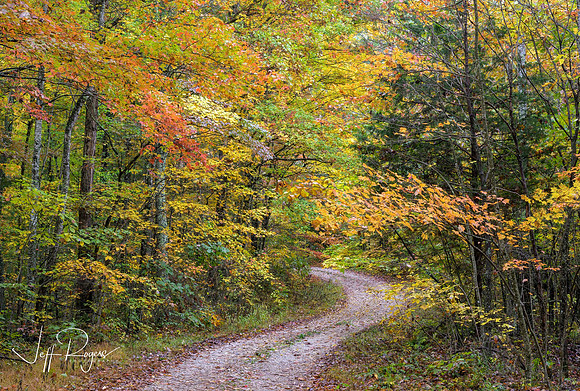 KY-Fall_Road6876